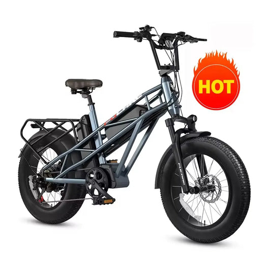 2024 New with 750W 1000W Motor  Two Battery 48V 20" Electric Bike for Adults Electric Mountain Bike Electric Fat Tire Bicycles